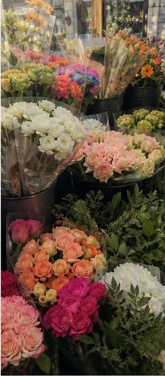 A small bouquet of pink flowers in warm light